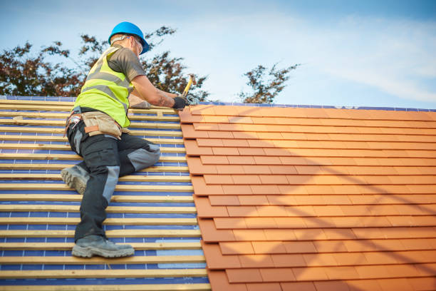 Professional Roofing services in Arcola, VA